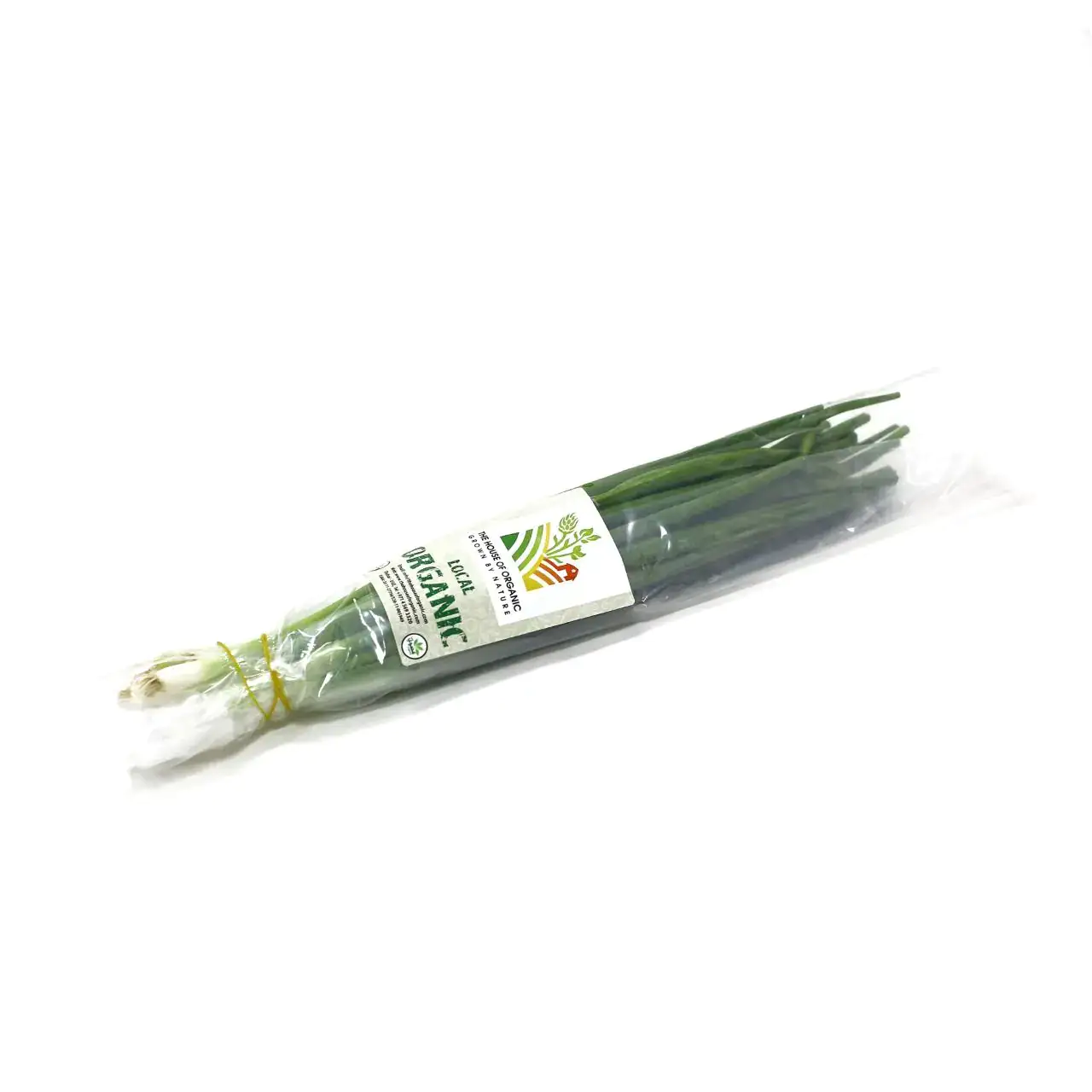 Organic Spring Onion 100g UAE